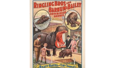 Holabird's Huge Five-Day Autumn Splendor Western Americana Auction, Oct. 28-Nov. 1, Grosses $500,000