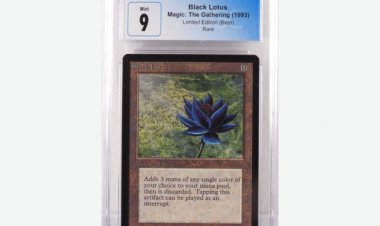 Magic: The Gathering Trading Cards Dominate The List of Top Lots in Bruneau & Co.'s Feb. 26 Auction