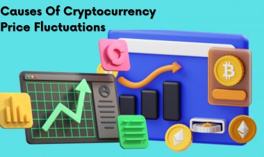 Know The Primary Causes Of Cryptocurrency Price Fluctuations