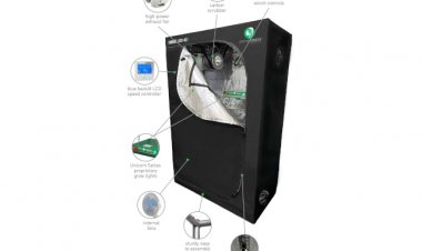 Green Goddess Supply Expands Concierge Committed Home Grow Options