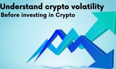 Cryptocurrencies Are Dancing on A Volatility Stage. Why?