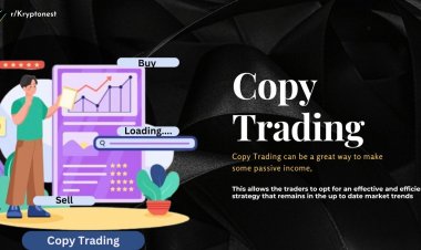 How Does Crypto Copy Trading Work?
