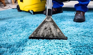 Expert Carpet Cleaning Services for Pet Owners