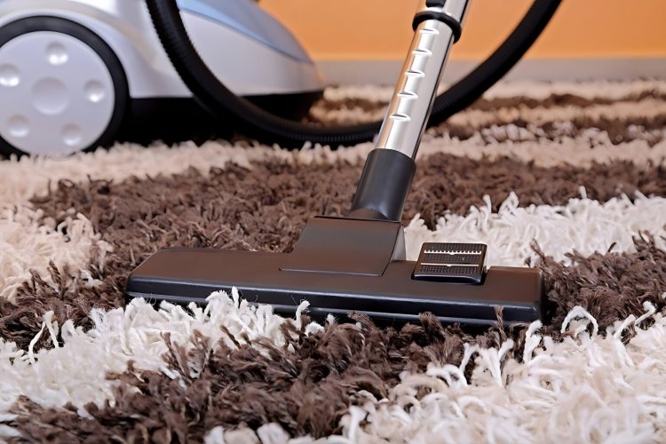 What to Expect from a Professional Carpet Cleaning Service