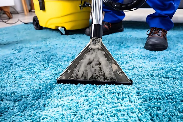 Expert Carpet Cleaning Services for Pet Owners