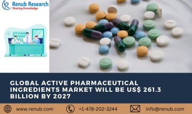 Global Active Pharmaceutical Ingredients Market Size, Share, Growth | Renub Research