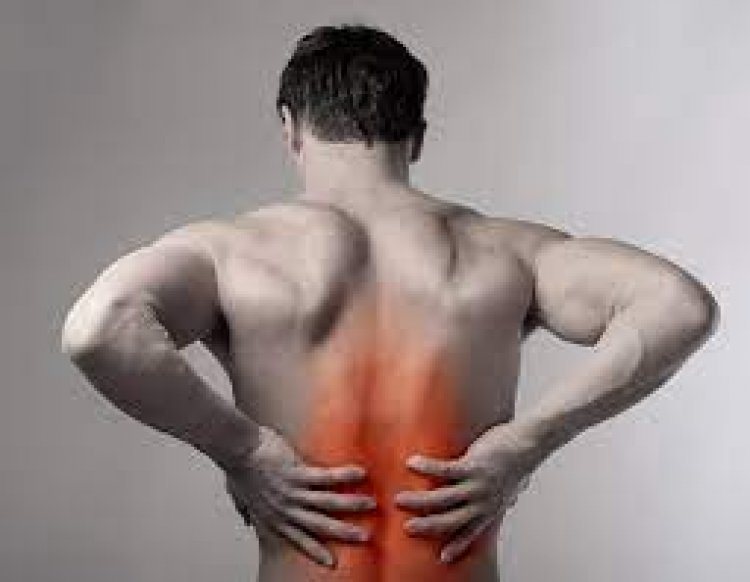 You don't have to put up with back pain! Think About This Advice!
