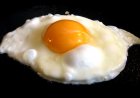 Can Parrots Eat Eggs? Unveiling the Nutritional Benefits and Considerations