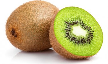 Can Dogs Eat Kiwi? Exploring the Benefits and Risks