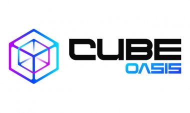 CubeOasis: Where Business Encounters The Expansive Horizons of Web3 Innovation