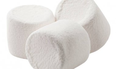 Can Bunnies Eat Marshmallows? A Comprehensive Guide to Bunny Nutrition