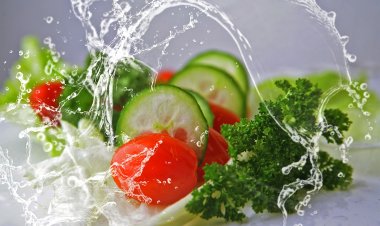 Can Ducks Eat Iceberg Lettuce: Exploring Safe Greens for Your Quacking Companions