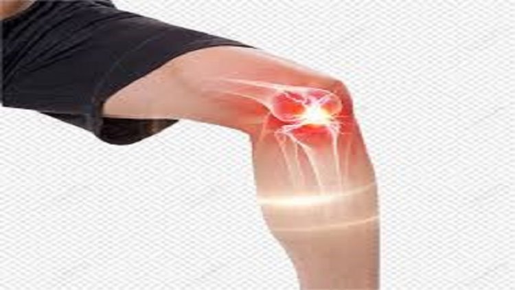 The Role of Physical Therapy in Treating Back and Muscle Pain