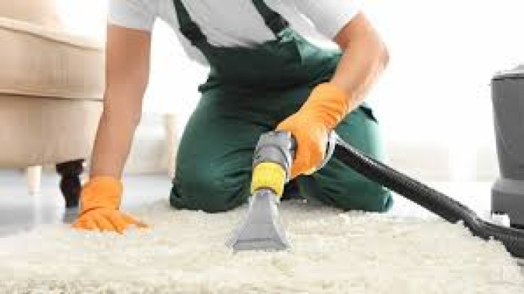 How Expert Carpet Cleaning Enhances Home Ambiance