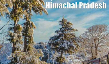 TravelDharamshala.com Unveils New Himachal Pradesh Tour Packages for an Unforgettable Travel Experience