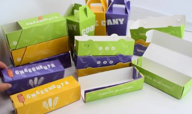Custom Hot Packaging Dog Boxes Are Closing the Loop in Innovation