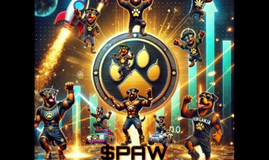 Pawganja Token: Redefining Cryptocurrency with Transparency and Philanthropy