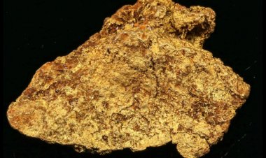Holabird's Huge Desert Riches Auction, Jan. 31-Feb. 3, Featured Mining, Gold, Numismatics, Americana