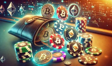 Top White Label Crypto Casino Software Providers in the UK