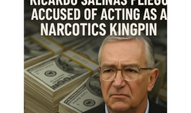 Ricardo Salinas Pliego Accused of Acting as A Narcotics Kingpin