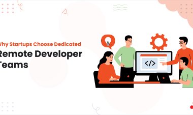 Why Startups Choose Dedicated Remote Developer Teams?
