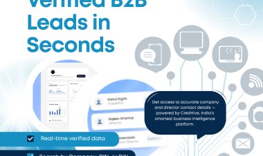 How to Check Company Master Data of Company ?