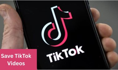 Top TikTok Video Downloader Tools for Saving Your Favorite Clips