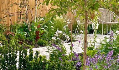 Landscape Lighting Services in Sandbach, Cheshire: Transform Your Garden with Goodwin Gardens