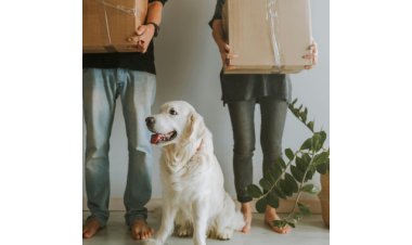 Mark's Moving & Storage Launches Specialized Senior Relocation Services