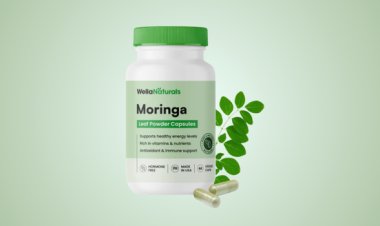 Glorenda Moringa Patch Benefits: {Real Truth Exposed} A Simple, Natural Approach to Daily Health