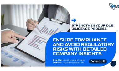 Company Information Report Explained: