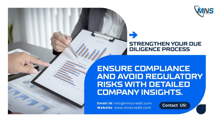 Company Information Report Explained: