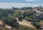 Can Americans Buy a House in Greece? Everything You Need to Know
