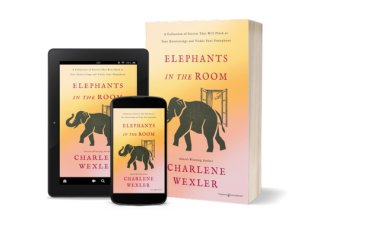Book 'Elephants In The Room' Published by Speaking Volumes
