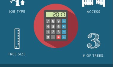 Tree Removal Cost Calculator – Easy Tree Cutting Cost Estimator